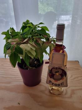 ITH - Stickdatei Flaschenschürze Eule mit Weinflasche